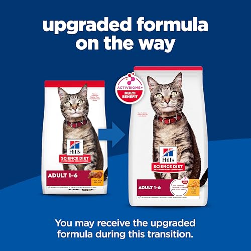 Dry Cat Food, Chicken Recipe - Image 14