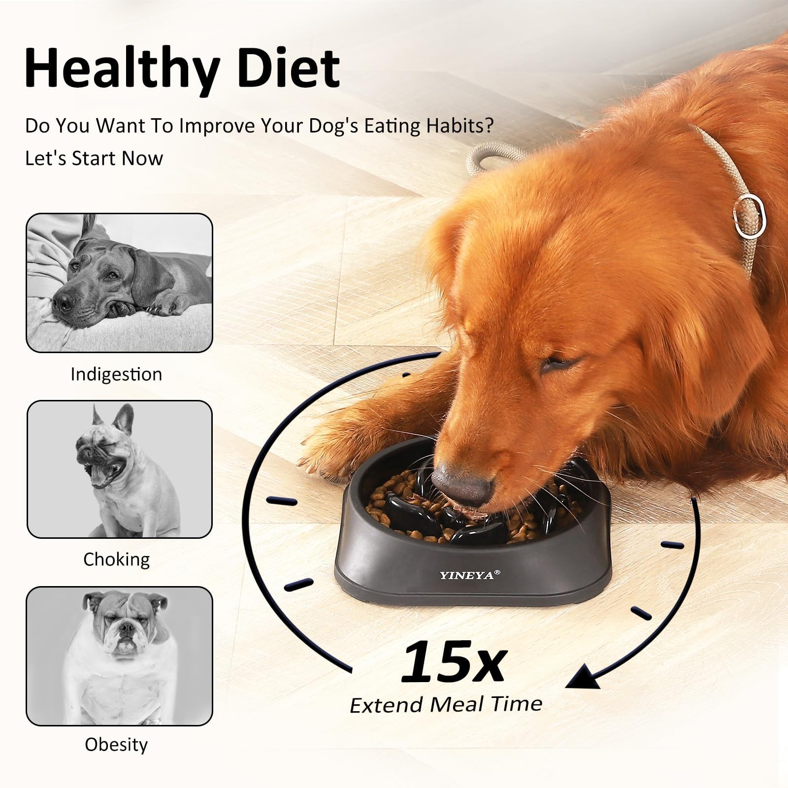 Slow Feeder Dog Bowls - Image 6
