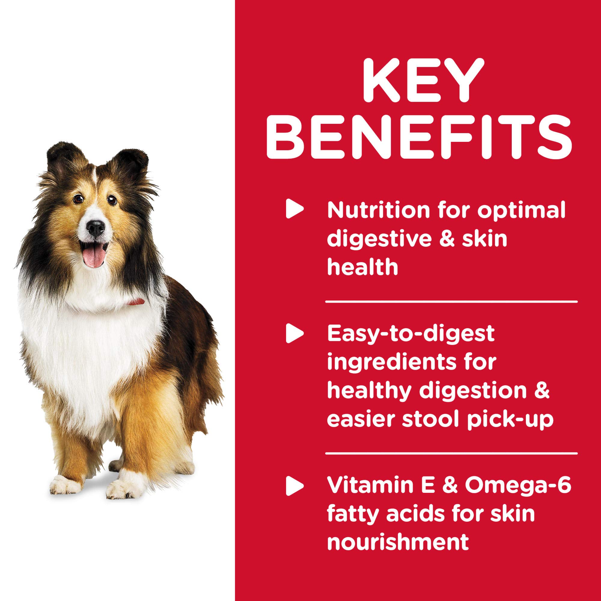 Wet Dog Food - Image 8